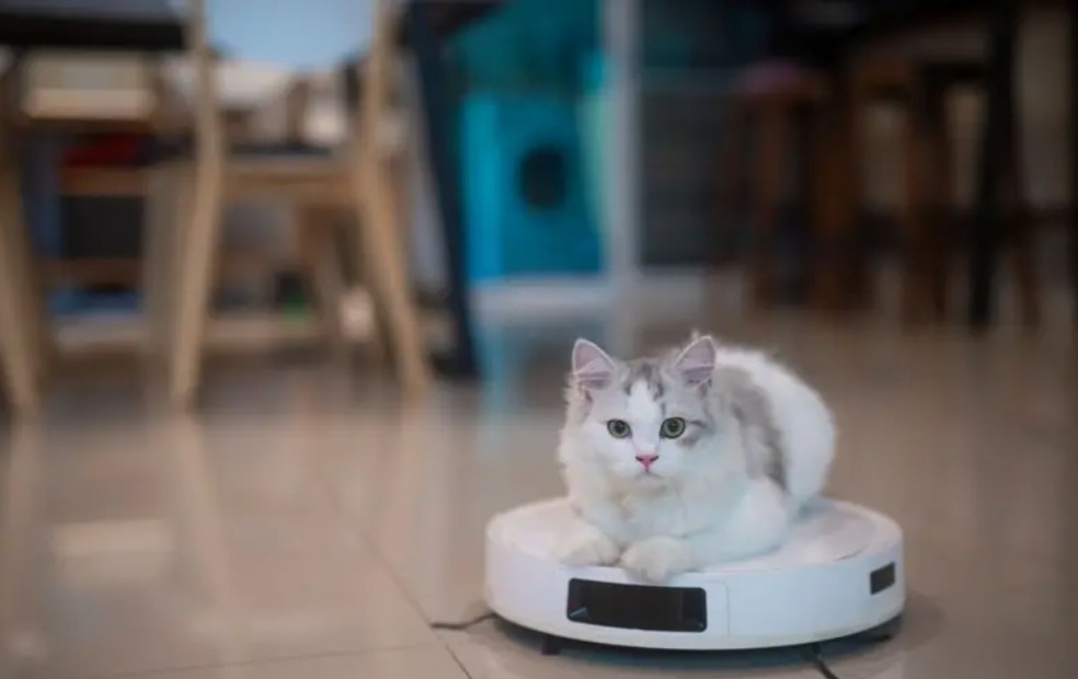 Em outubro do ano passado circulou o mundo a notícia de que aspiradores-robô da marca chinesa Ecovacs Deebot X2 foram hackeados em diversas cidades americanas — Foto: BBC News fonte