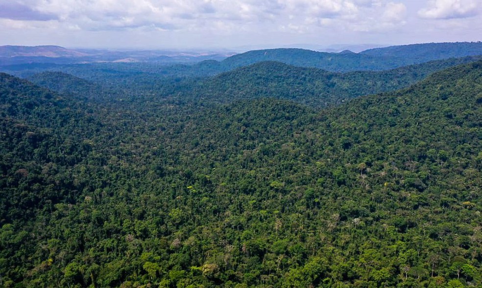 Ecologistas lutam contra desmatamento e pobreza na Amazônia — Foto: TV Brasil