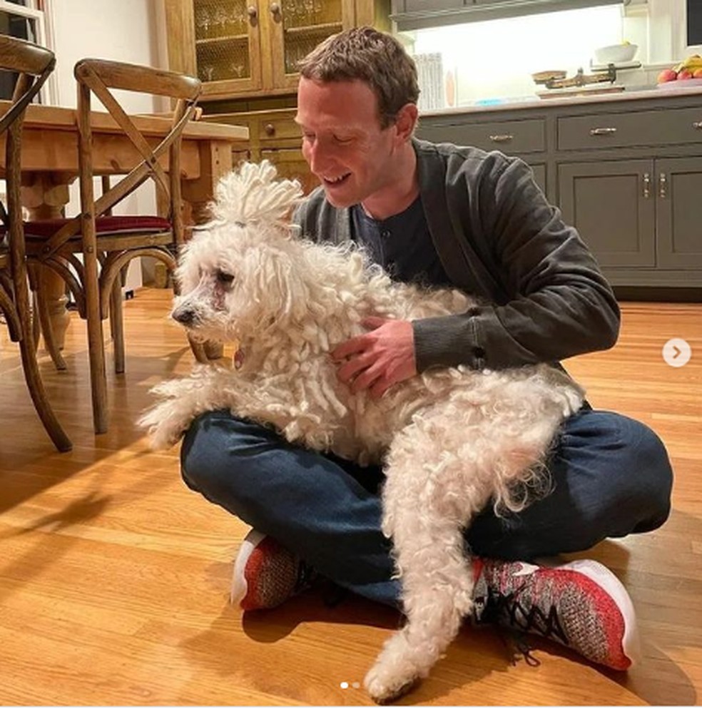 Musk, Zuckerberg, Gates: os cachorros dos empresários da tecnologia