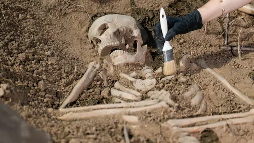 Desenterramos inúmeros fósseis do solo que nos dão pistas sobre como espécies antigas viviam muito antes de existirmos — Foto: Getty Images via BBC News