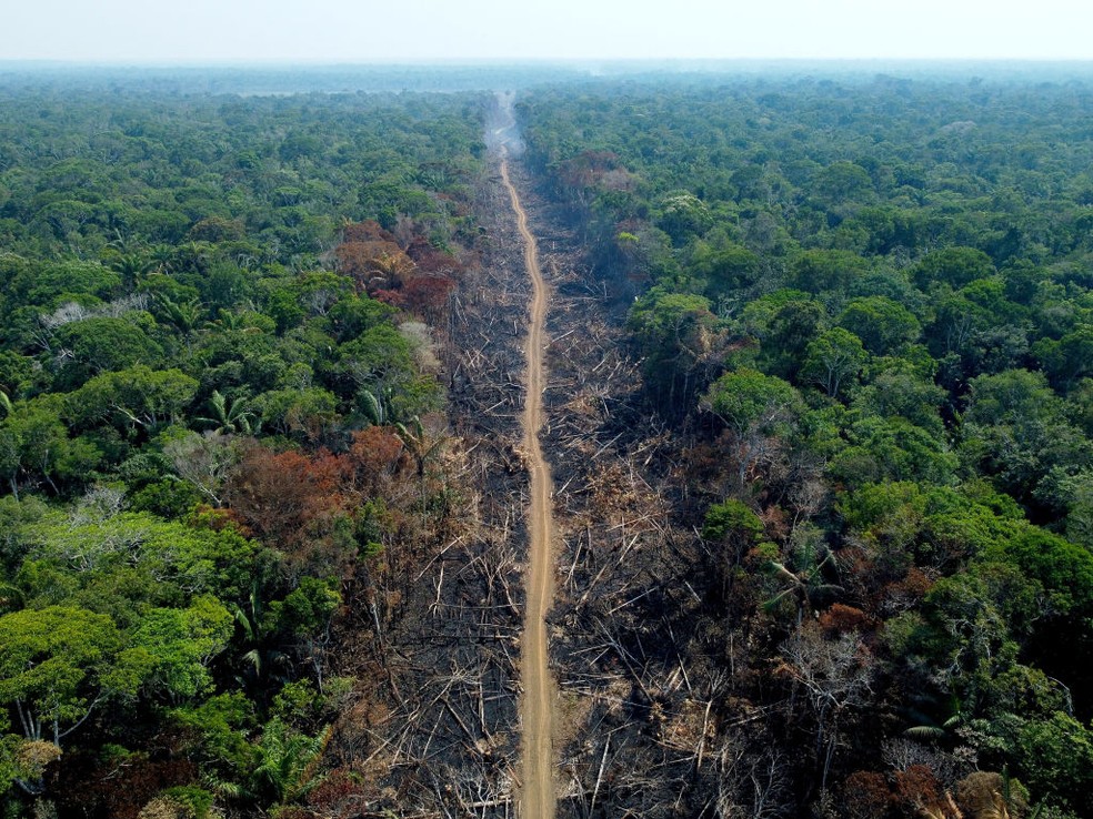 Área desmatada na Floresta Amazônica, em foto de setembro de 2022 — Foto: Getty Images