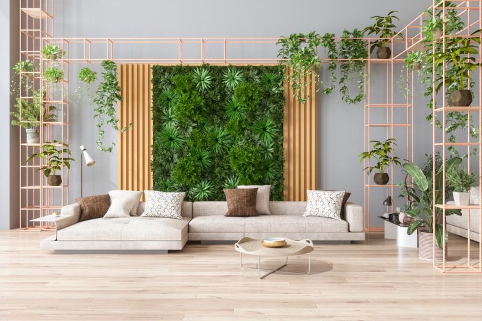 Plantas internas na parede criam uma obra de ‘arte viva’, segundo o influenciador vegetal Hilton Carter — Foto: Getty Images