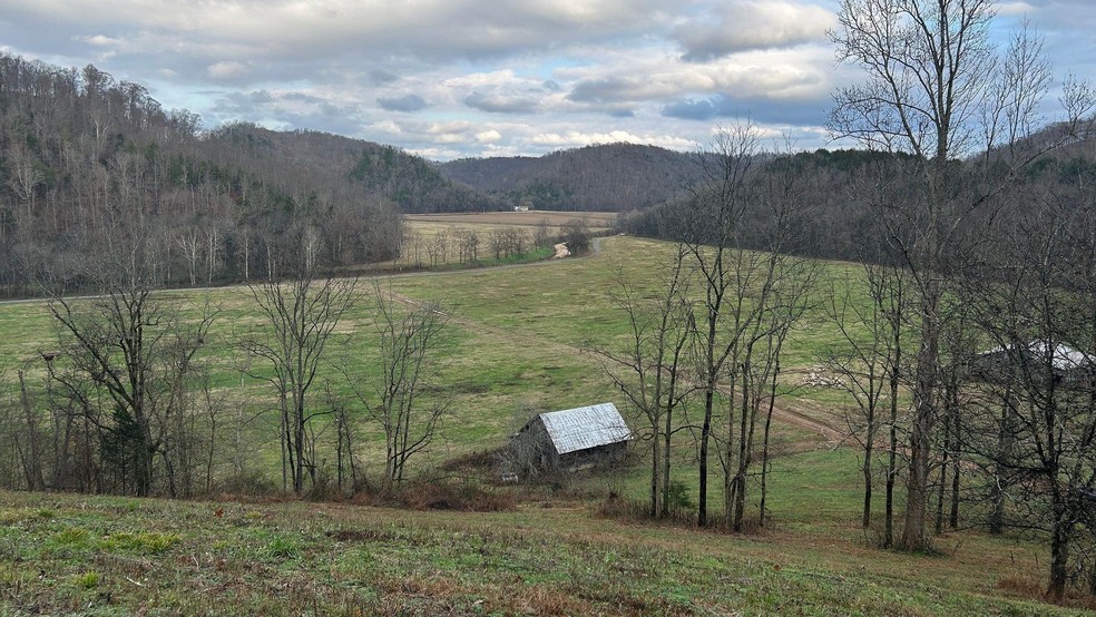 A construção no terreno de Brewington Farms, perto de Gainesboro, começará em alguns meses e os novos moradores devem se mudar em pouco mais de um ano — Foto: BBC News fonte