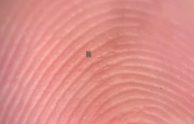 Menor que um grão de sal: cientistas criam o menor robô autônomo do mundo, capaz de se mover e processar dados