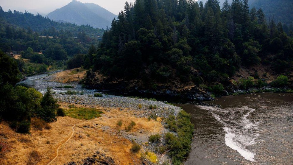 O salmão voltou a desovar na região do rio Klamath desde a retirada de quatro grandes represas — Foto: BBC News fonte