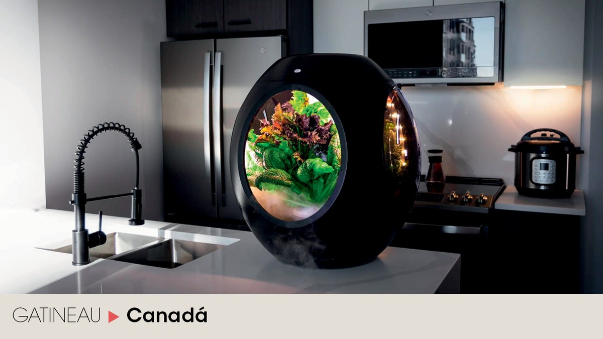 Cultive Alimentos em Casa de Forma Sustentável com Tecnologia Inspirada na Nasa