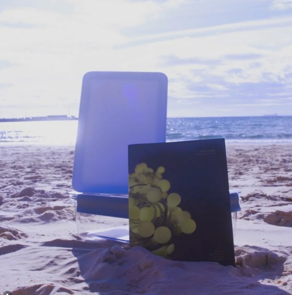 Kit disponibilizado nas Ilhas Orkney — Foto: Reprodução/Instagram Orkney Library