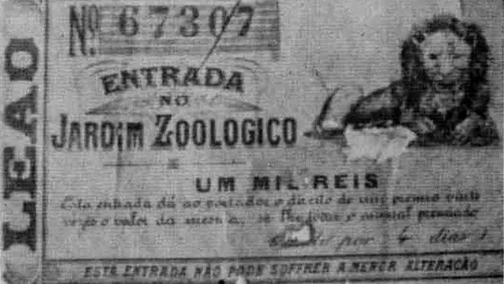 Tíquete de entrada de 1896 no jardim zoológico do Rio que autorizava o visitante a participar de rifa — Foto: BBC News fonte