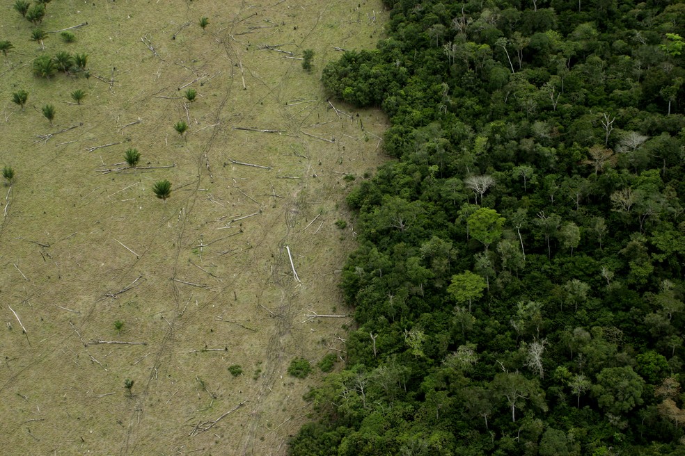 Desmatamento — Foto: Getty Images