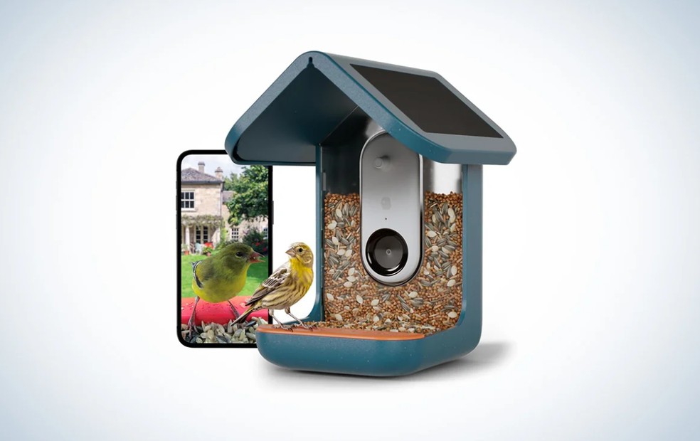 Comedouro inteligente para pássaros — Foto: Divulgação/RCA