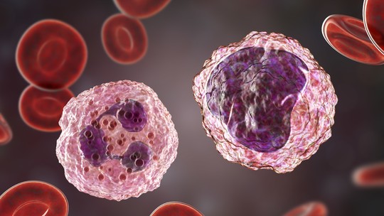 Tratamento de câncer: Anvisa autoriza pesquisa clínica com células CAR-T no Brasil