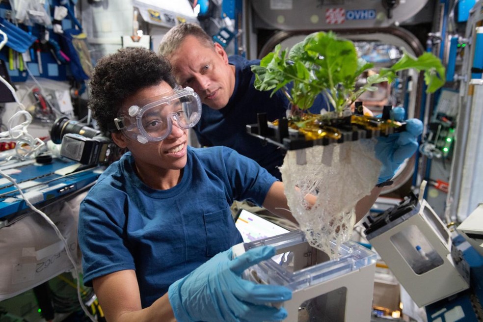 Astronautas estudam o cultivo de alimentos em órbita  — Foto: NASA