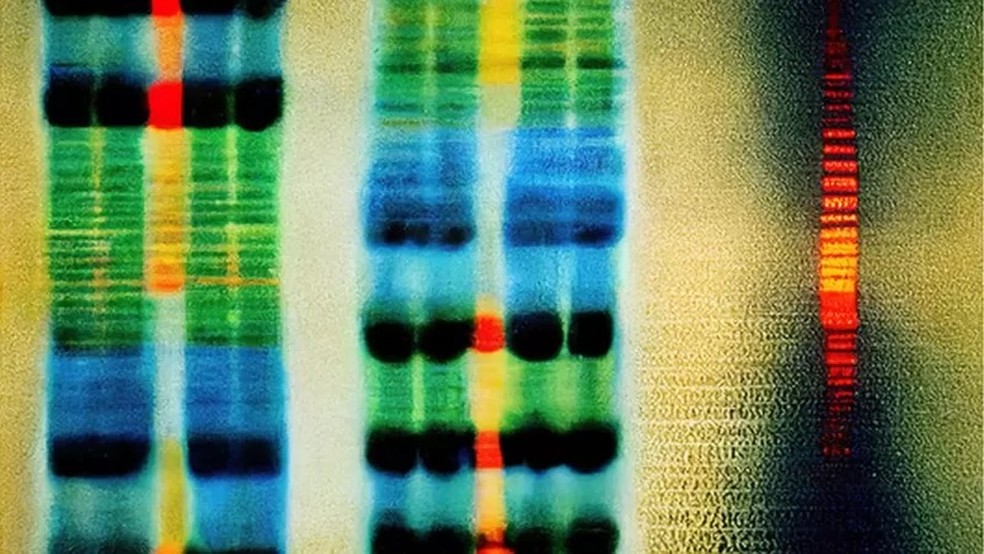 Os genes que compõem o DNA humano são formados por sequências químicas — Foto: RICHARD JONES/SCIENCE PHOTO LIBRARY via BBC