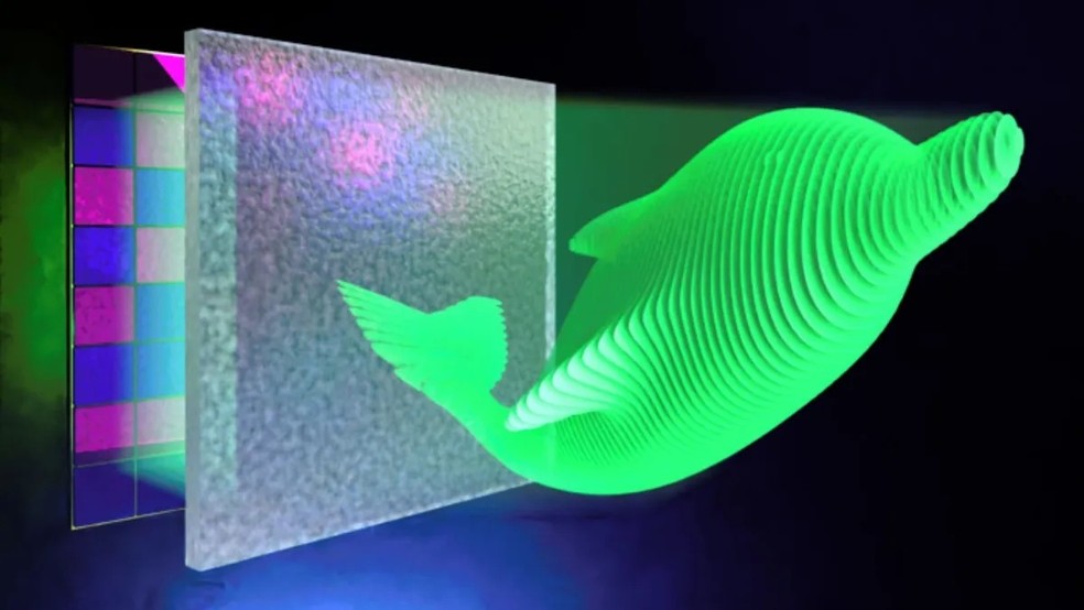 Imagem de um golfinho holográfico projetado em 3D  — Foto: Divulgação