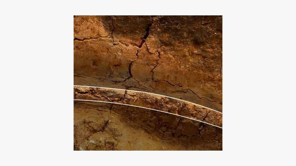 Esta camada veda o lodo arenoso amarelo em relação aos sedimentos do tanque abaixo, que contêm os restos de moluscos, pequenos vertebrados e pólen. — Foto: BBC News fonte