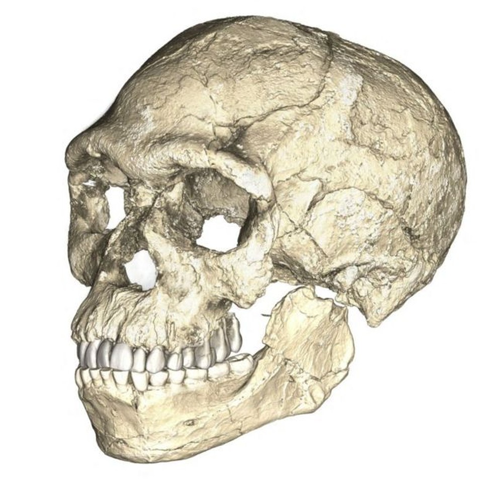 Reconstrução composta dos primeiros fósseis de Homo sapiens conhecidos — Foto: Reuters via BBC