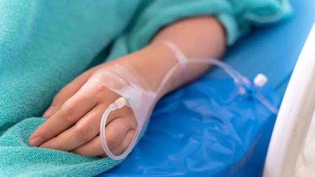 Câncer em cactos: o que a doença em outras espécies pode nos ensinar