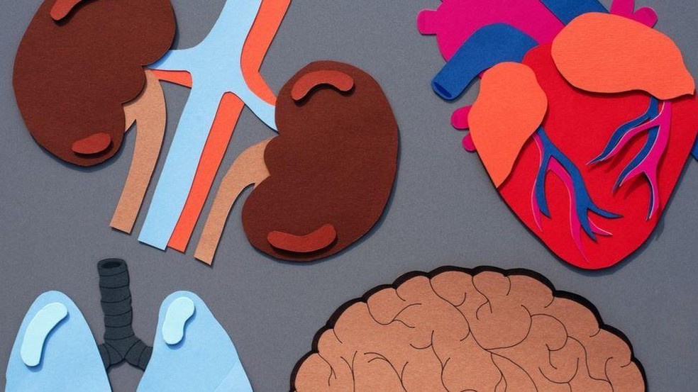 Saber quais órgãos estão em rápido declínio pode ajudar a revelar quais problemas de saúde podem estar prestes a surgir, dizem pesquisadores — Foto: Getty Images