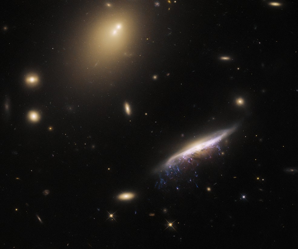 Hubble captura imagem de "galáxia água-viva" — Foto: Reprodução/NASA