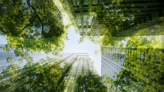 Florestas urbanas podem ser solução para combater ondas de calor em grandes cidades?
