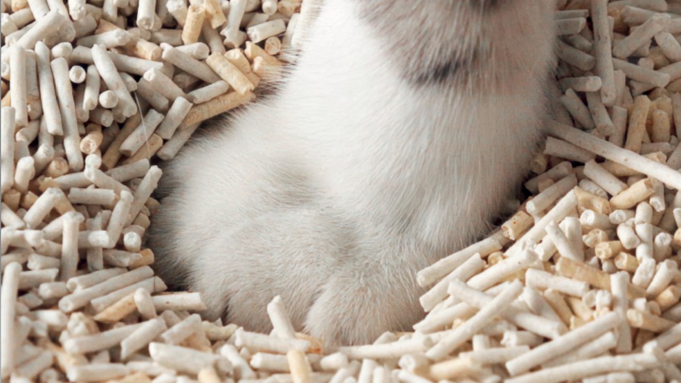 Smart Box — Foto: Divulgação