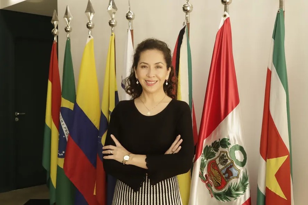 Alexandra Moreira, secretária-geral da OTCA, defende adoção do compromisso de zerar desmatamento até 2030 — Foto: Divulgação
