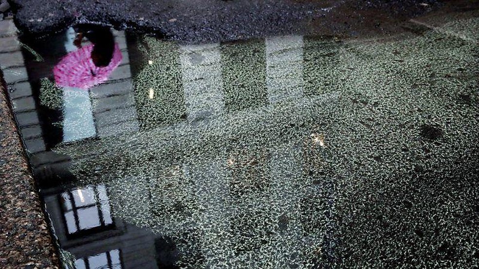 Com o aumento da quantidade de pólen no ar devido às mudanças climáticas, os cientistas preveem o agravamento das alergias sazonais — Foto: BBC News fonte