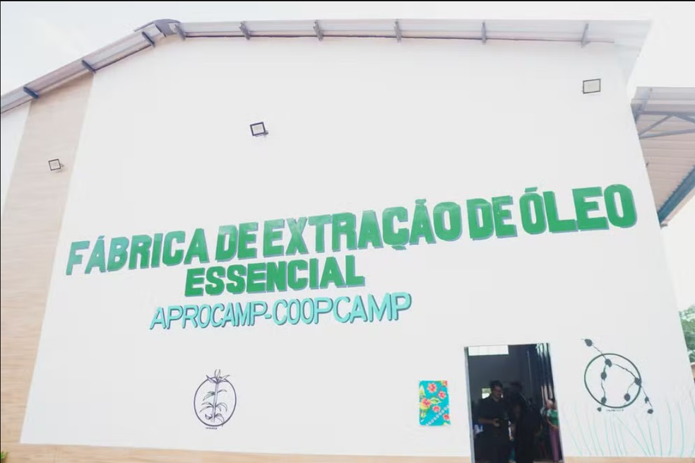 Fábrica auxilia produção da Natura em Santo Antônio do Tauá (PA) — Foto: Divulgação