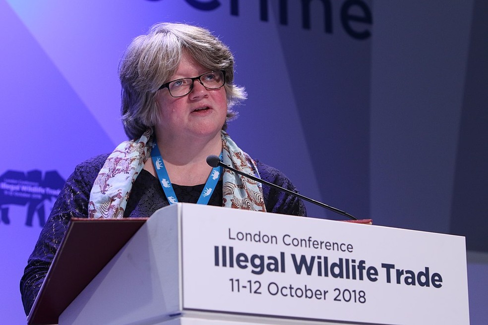 Thérèse Coffey durante conferência em Londres em 2018 — Foto:  Foreign and Commonwealth Office - Illegal Wildlife Trade Conference: London 2018, CC BY 2.0, https://commons.wikimedia.org/w/index.php?curid=75481290