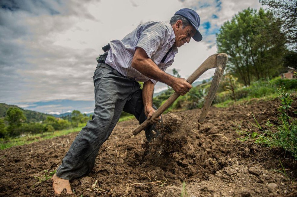 O crescimento da produção agrícola encareceu a água e a mão de obra para pequenos agricultores — Foto: BBC News fonte