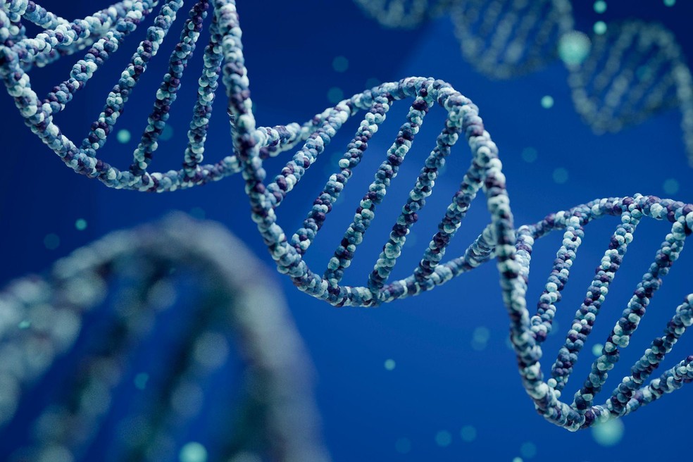 Exames de DNA feitos em ossos encontrados em um caverna na Rússia em 2008 revelaram a existência de outro grupo humano até então desconhecido — Foto: BBC News fonte