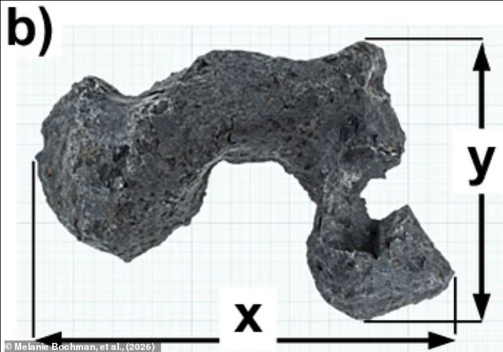 Um pedaço do meteorito Campo del Cielo, um corpo rico em ferro-níquel, foi exposto a 27 pulsos curtos e sucessivos do acelerador de partículas para simular o impacto de uma explosão nuclear — Foto: Melanie Bochman et al.
