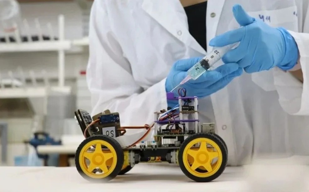 Robô "ciborgue" que consegue identificar cheiros via antenas de gafanhotos e IA — Foto: Universidade de Tel Aviv/Youtube