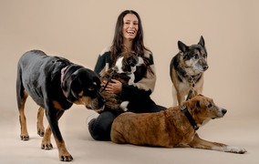 Startup busca uma 'fonte da juventude' para cachorros