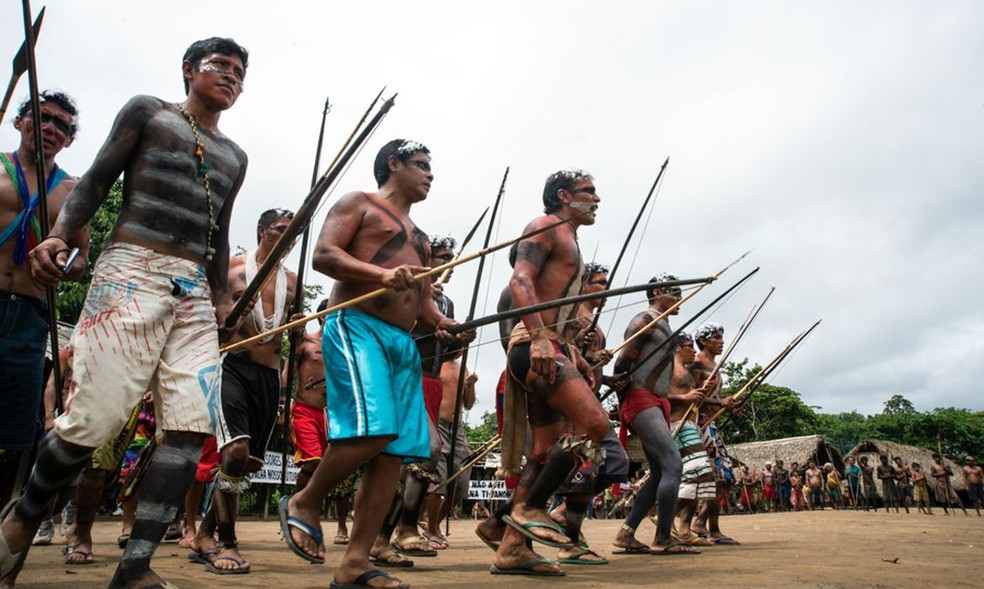 Reserva Indígena Yanomami, em Roraima — Foto: Mário Vilela/Funai