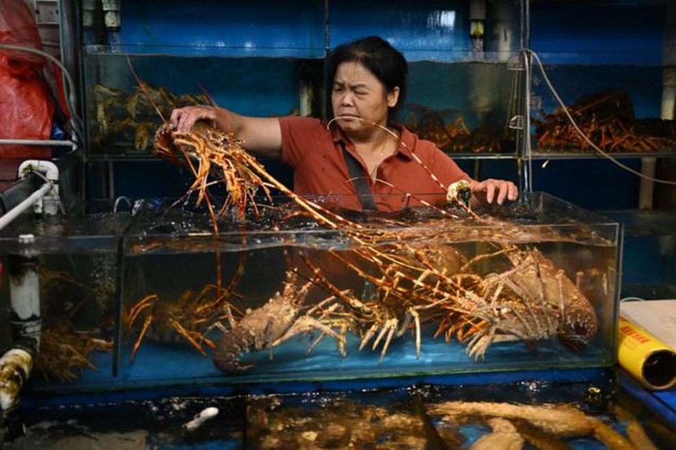 A China é o principal comprador de frutos do mar do Japão — Foto: Getty Images