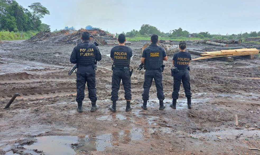 Polícia Federal e Ibama apreendem madeira ilegal no Pará — Foto: Divulgação/Polícia Federal