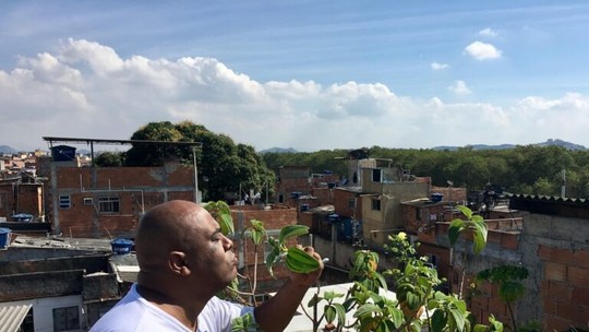 Ativista em favela do Rio planta telhados verdes para combater onda de calor