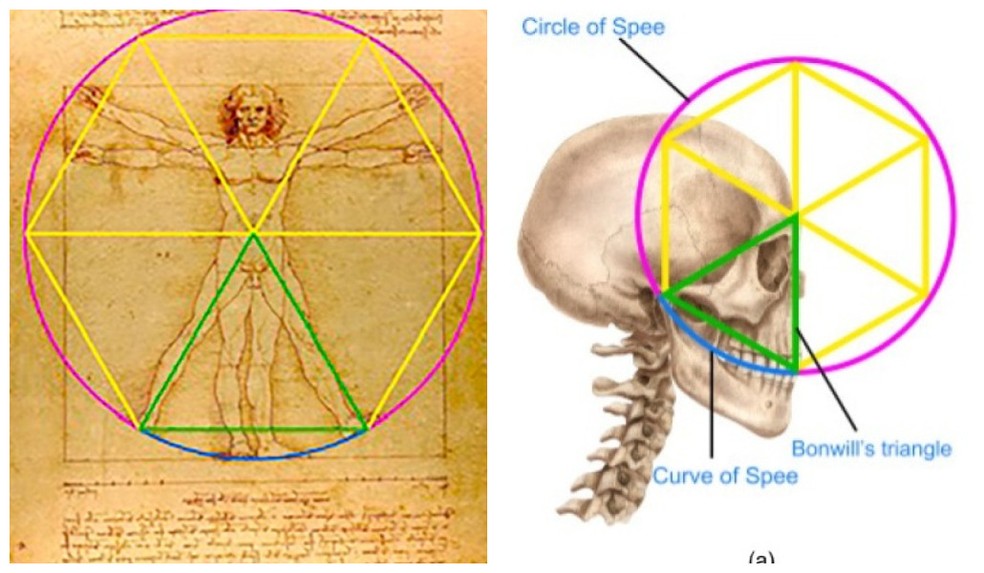 Pesquisa do dentista londrino Rory Mac Sweeney — Foto: Reprodução