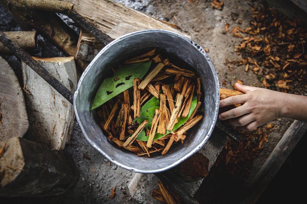 Substância da ayahuasca é eficaz no tratamento da depressão severa ...