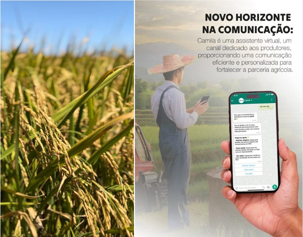 Ferramenta envia avisos em tempo real sobre a chegada do caminhão, alertas sobre a qualidade dos produtos, extratos e contratos firmados com a empresa, tudo diretamente pelo WhatsApp — Foto: Divulgação/Camil