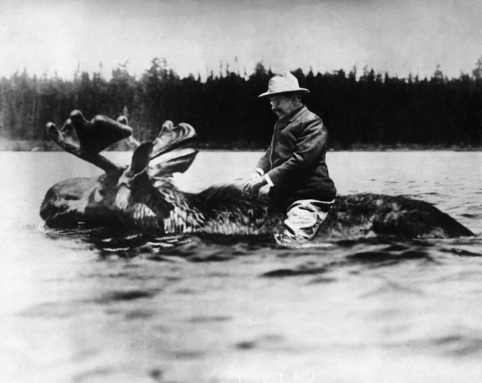 Theodore Roosevelt, presidente dos Estados Unidos entre 1901 e 1909, aparece montado em um alce quando ainda era candidato — Foto: GETTY IMAGES/VIA BBC