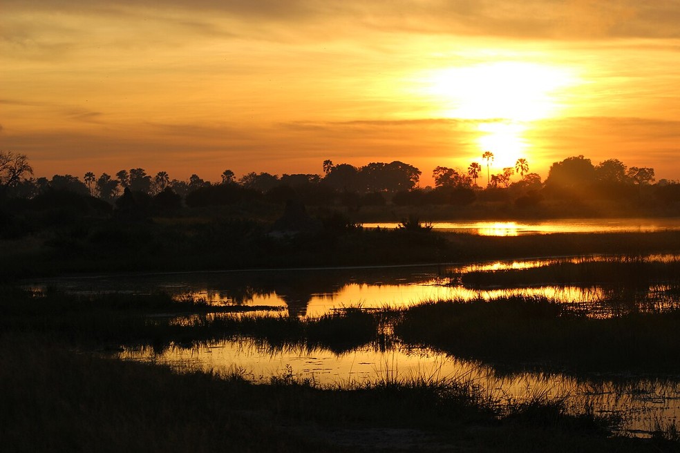 Okavango Delta — Foto: Richardk85/Wikimedia Commons