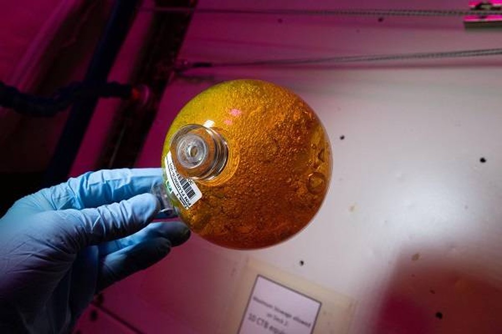 Esfera para estudo dos fluídos na ISS — Foto: NASA