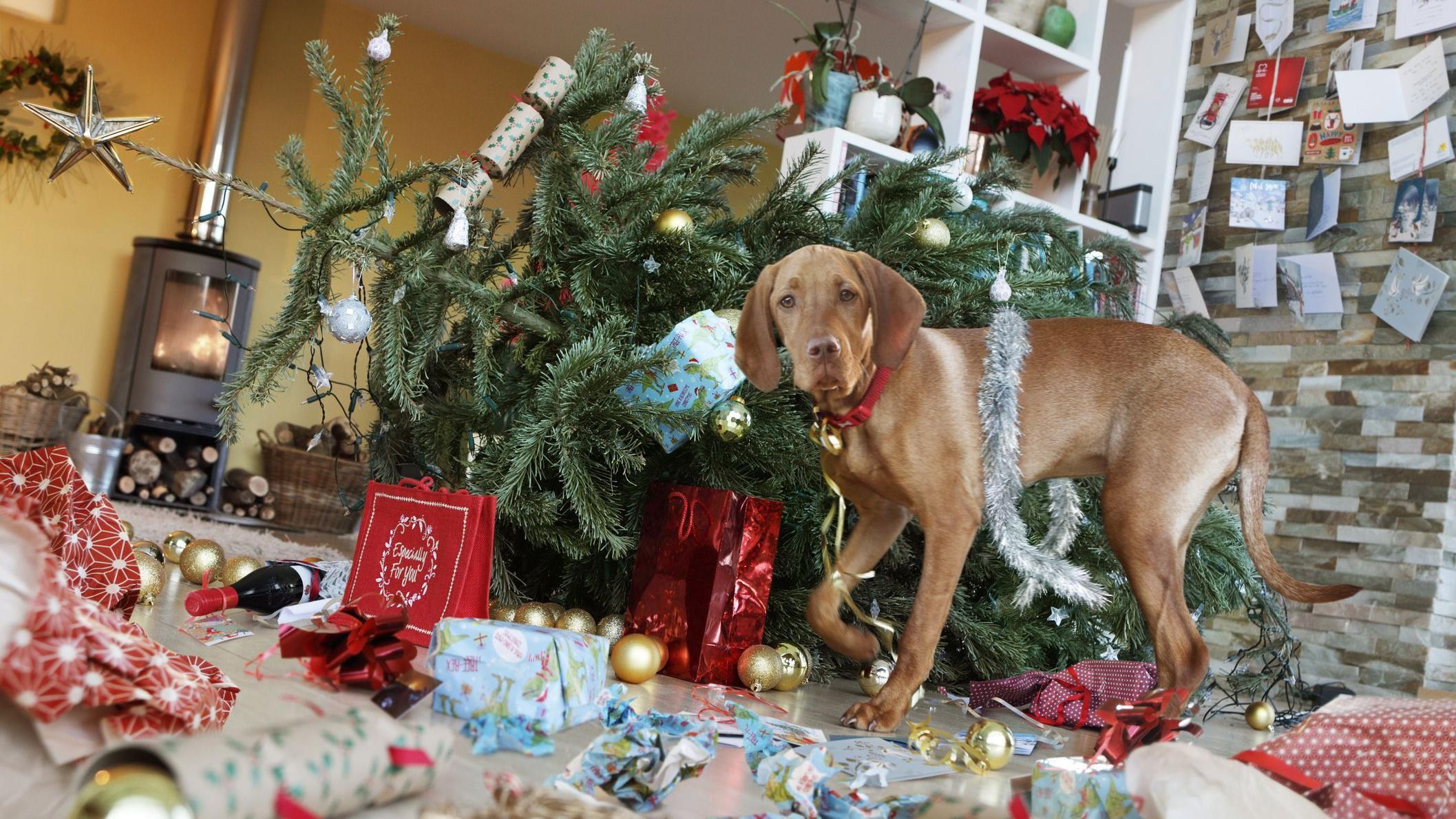 6 coisas que você deve evitar para não brigar com a sua família no Natal