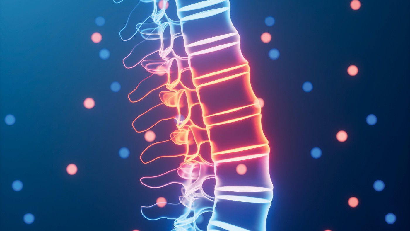 Como a polilaminina será usada para curar lesões na medula, responsáveis pela paraplegia e tetraplegia