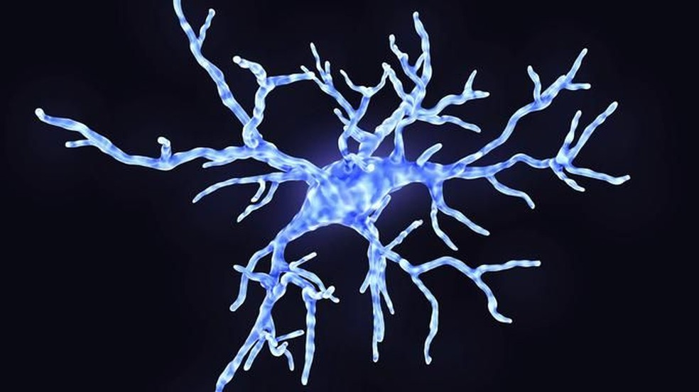 As células da glia protegem e dão suporte aos neurônios. Quando um câncer se desenvolve nelas, é chamado de glioma — Foto: Getty Images