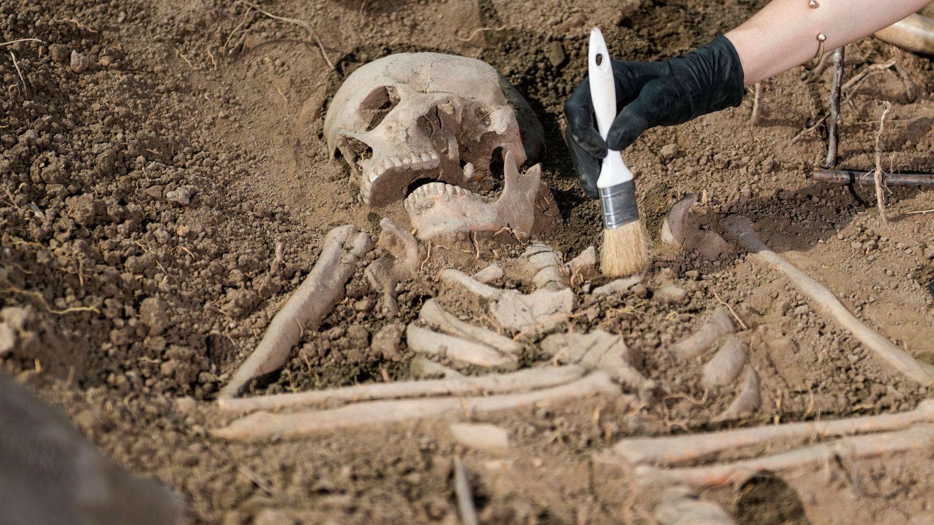 Os humanos poderão ser esquecidos daqui a milhões de anos?