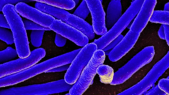 Estudo descobre antibiótico que só mata bactérias 'más' e poupa as 'boas'