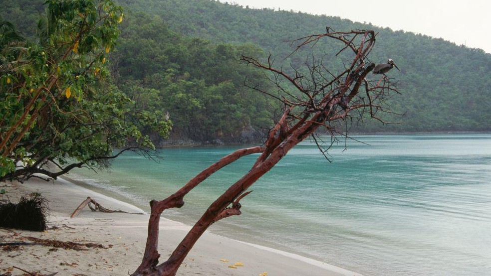 Diferentemente do que aconteceu com a Groenlândia, a Dinamarca concordou em vender as ilhas aos Estados Unidos — Foto: BBC News fonte